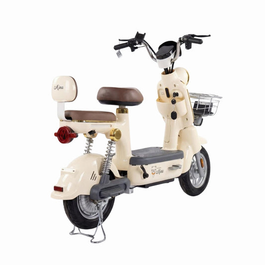CHENXIAN 800W Dual-Seat Electric Scooter Bike (48V 20Ah)