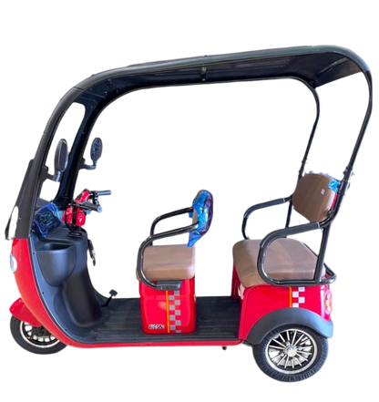 Tricycle With Roof