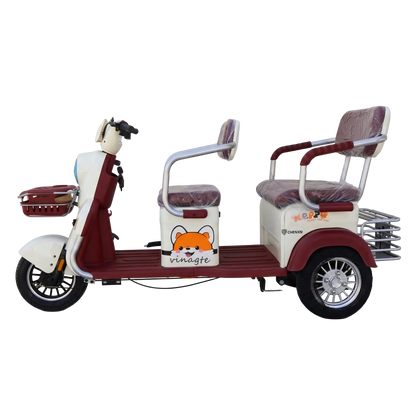 X2C Electric Tricycle – Power, Convenience, and Comfort in Every Ride