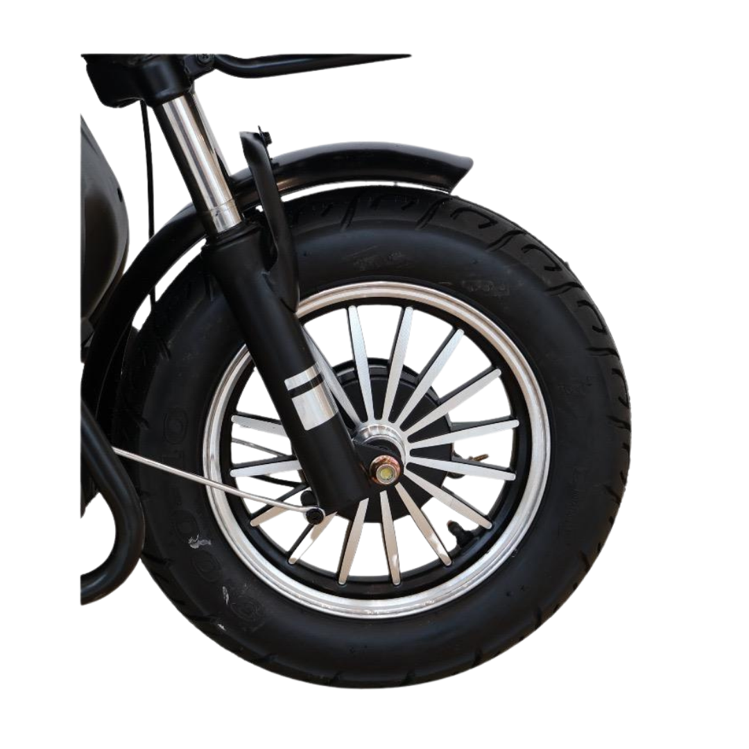 Chenxian XK Recreational Electric Tricycle | 1000W 48V 20A Heavy-Duty Trike 200KG UAE