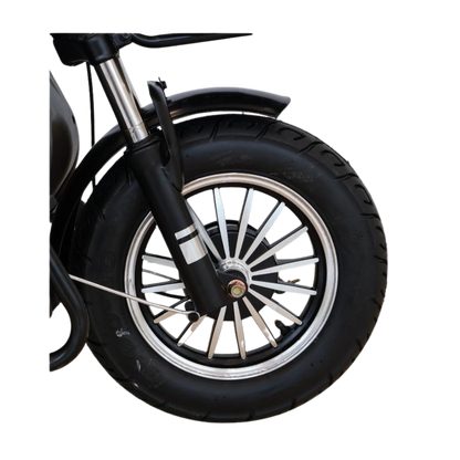 Chenxian XK Recreational Electric Tricycle | 1000W 48V 20A Heavy-Duty Trike 200KG UAE