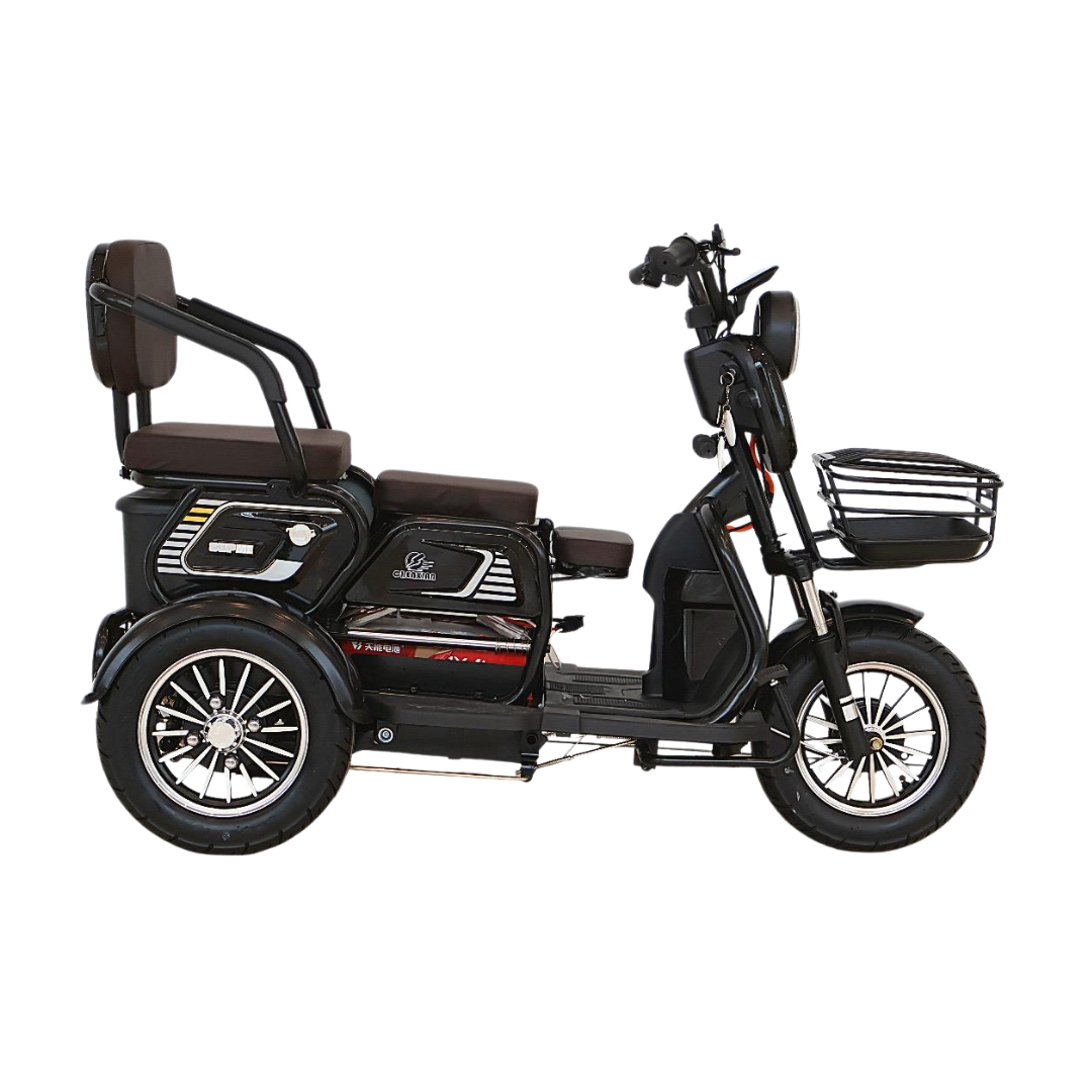 Chenxian XK Recreational Electric Tricycle | 1000W 48V 20A Heavy-Duty Trike 200KG UAE