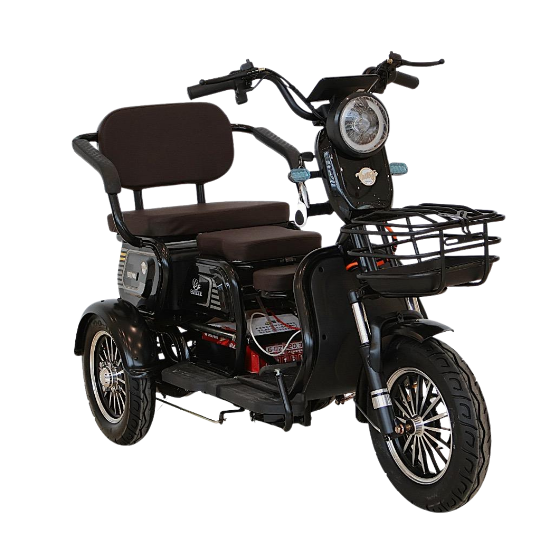 Chenxian XK Recreational Electric Tricycle | 1000W 48V 20A Heavy-Duty Trike 200KG UAE