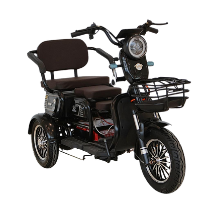 Chenxian XK Recreational Electric Tricycle | 1000W 48V 20A Heavy-Duty Trike 200KG UAE