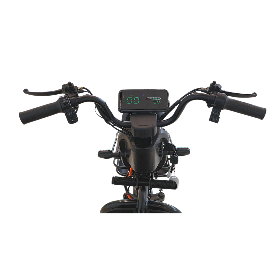 Chenxian XK Recreational Electric Tricycle | 1000W 48V 20A Heavy-Duty Trike 200KG UAE
