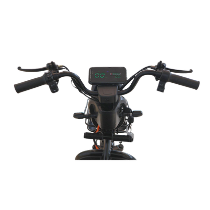 Chenxian XK Recreational Electric Tricycle | 1000W 48V 20A Heavy-Duty Trike 200KG UAE