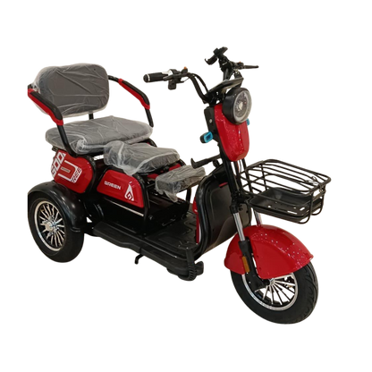 Chenxian XK Recreational Electric Tricycle | 1000W 48V 20A Heavy-Duty Trike 200KG UAE