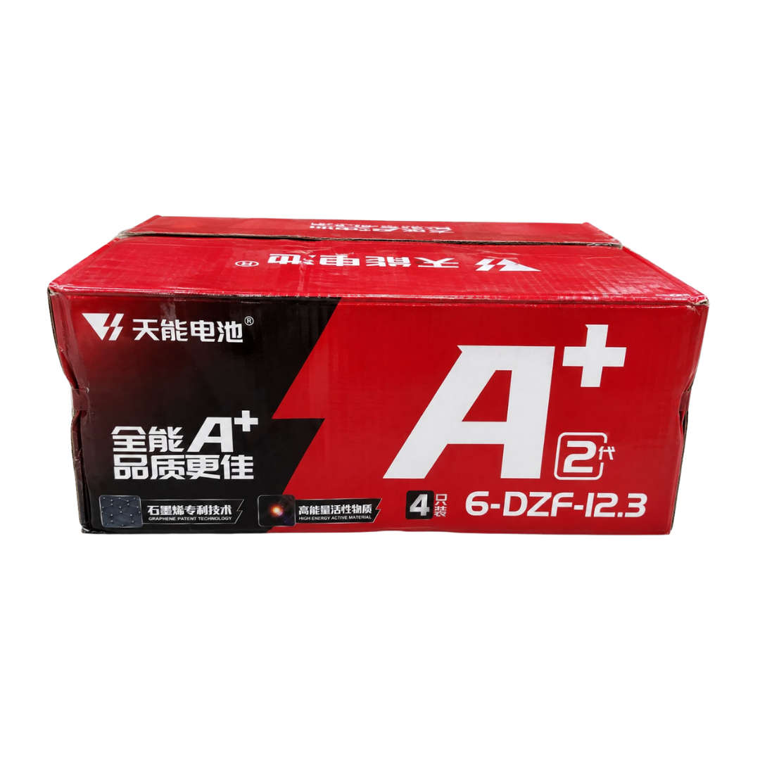 48V 12.2Ah E-Bike Battery Set (4x 12V 12.3Ah) | 6-DZF-12.2 Sealed Lead Acid Pack UAE
