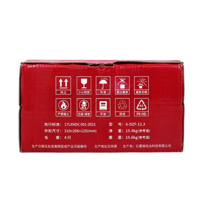 48V 12.2Ah E-Bike Battery Set (4x 12V 12.3Ah) | 6-DZF-12.2 Sealed Lead Acid Pack UAE