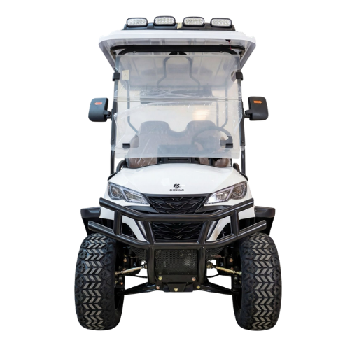 Chenxian Luxury 4-Seater Electric Golf Cart | 3500W Premium Resort & Community Buggy
