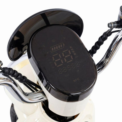 CHENXIAN 800W Dual-Seat Electric Scooter Bike (48V 20Ah)