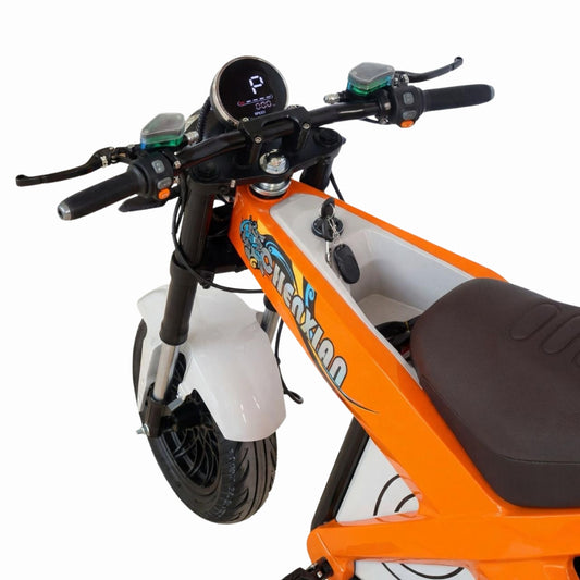 CHENXIAN Naked-Sports E-Motorbike – 1500W High-Torque Electric Bike for UAE