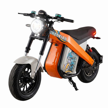 CHENXIAN Naked-Sports E-Motorbike – 1500W High-Torque Electric Bike for UAE