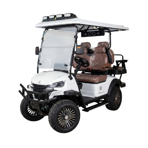 Chenxian Luxury 4-Seater Electric Golf Cart | 3500W Premium Resort & Community Buggy