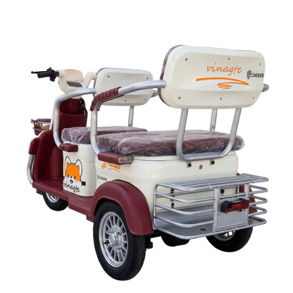 X2C Electric Tricycle – Power, Convenience, and Comfort in Every Ride