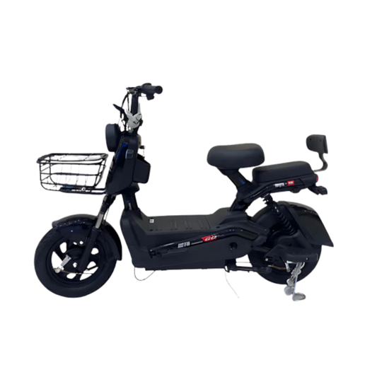 CXN70 Electric Bike – Two Versatile Variants for Every Ride