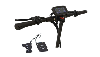 D06 Electric Scooter – High-Power Brushless Performance