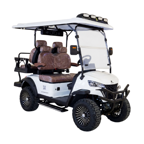 Chenxian Luxury 4-Seater Electric Golf Cart | 3500W Premium Resort & Community Buggy