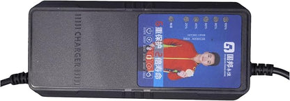 48V 2.5A Battery Charger (For 48V Lead-Acid Batteries Only)