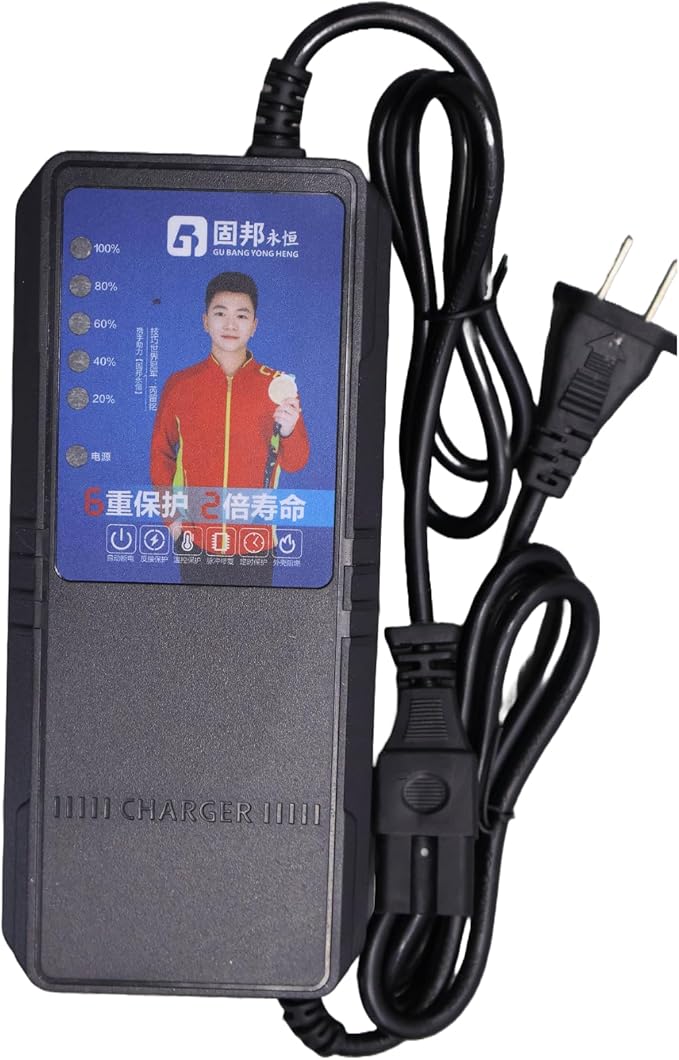 48V 2.5A Battery Charger (For 48V Lead-Acid Batteries Only)