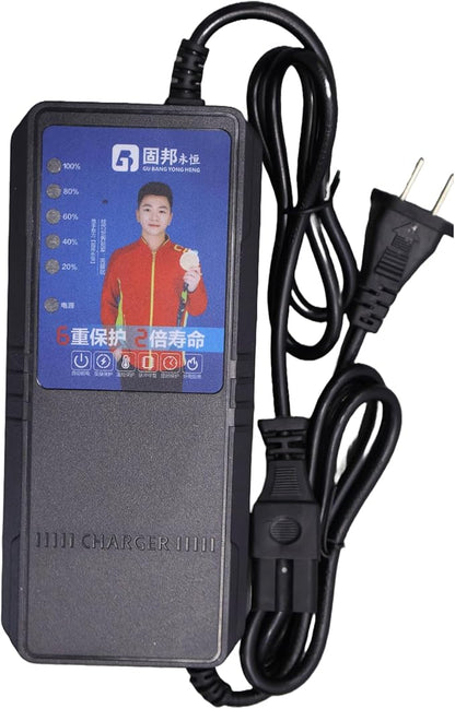 48V 2.5A Battery Charger (For 48V Lead-Acid Batteries Only)