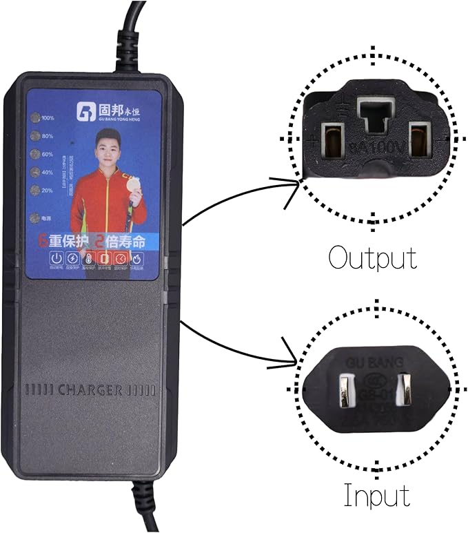 48V 2.5A Battery Charger (For 48V Lead-Acid Batteries Only)