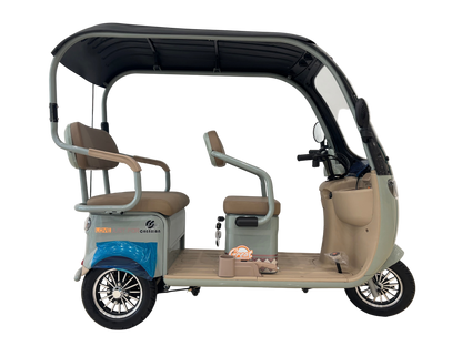 Tricycle With Roof