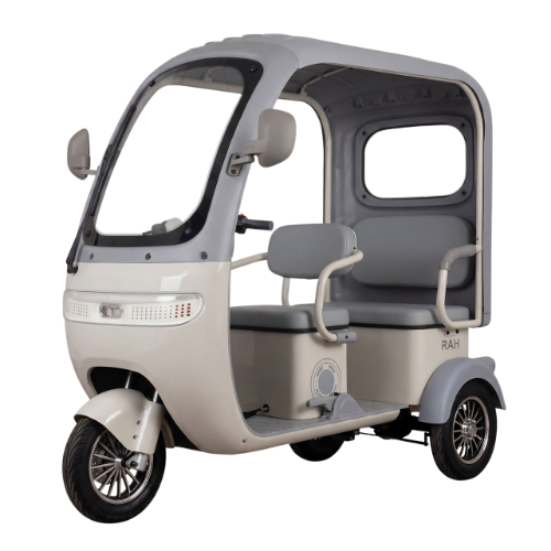 D19 Electric Recreational Vehicle – The Ultimate Smart Eco-Ride