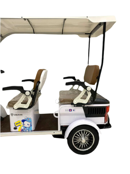 ChenXN Electric Golf Car - 4 Seater (60V / 800W)