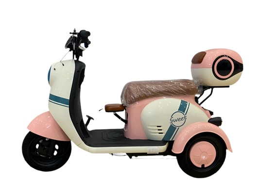 X3A Electric Tricycle – Family-Friendly Mobility with Convenience