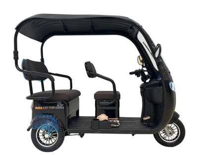 Tricycle With Roof