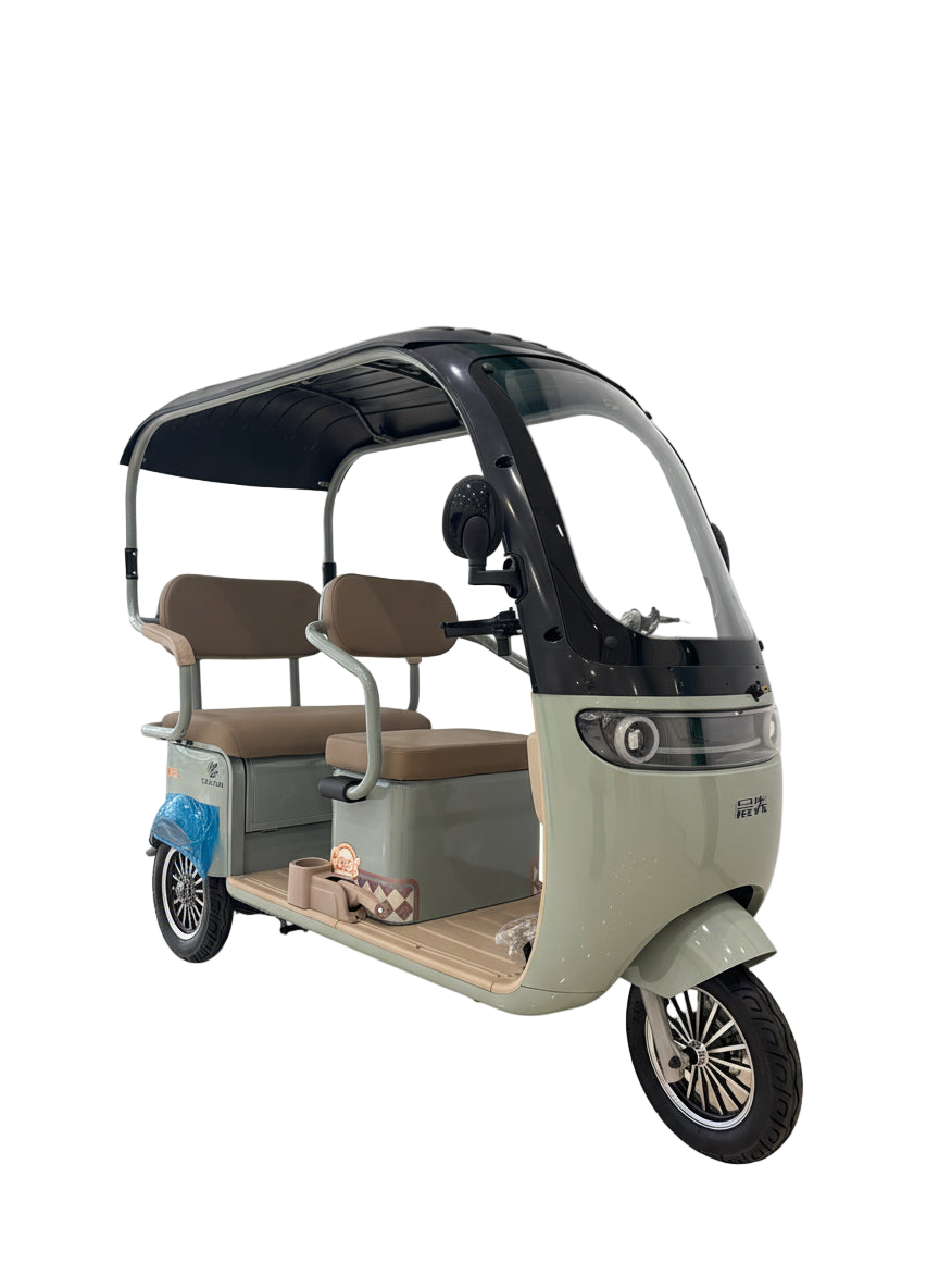 Tricycle With Roof