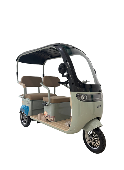 Tricycle With Roof