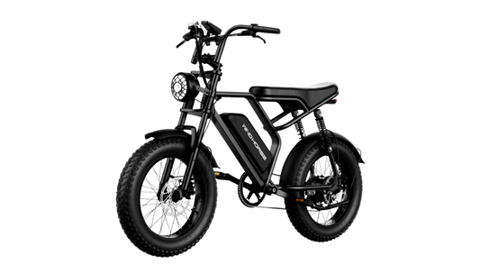 Wind Horse V8 Pro Electric Bike