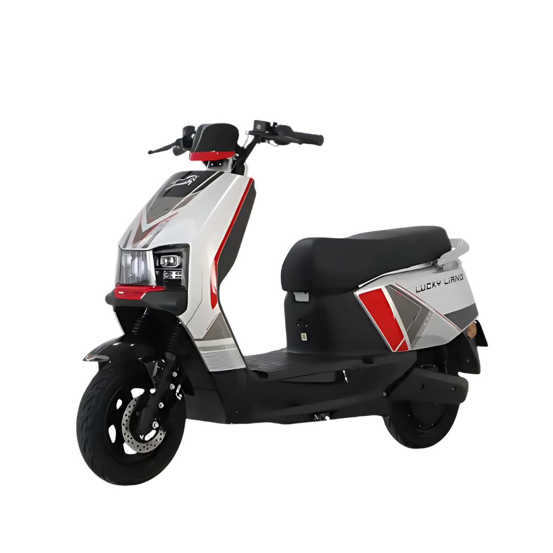 E-Bike J1