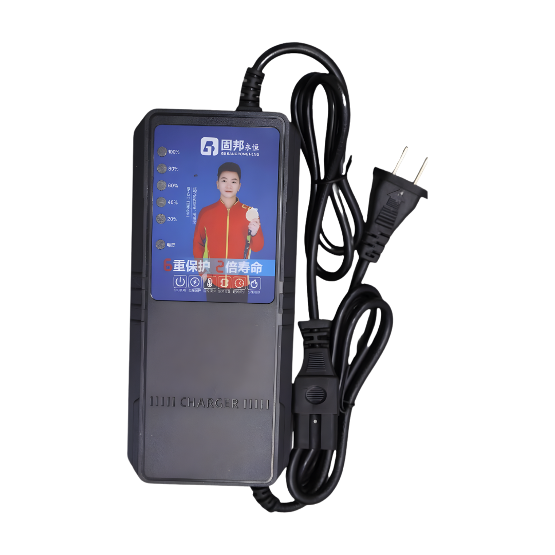 48V 2.5A Battery Charger (For 48V Lead-Acid Batteries Only)