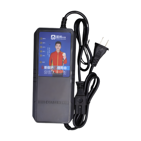 48V 2.5A Battery Charger (For 48V Lead-Acid Batteries Only)