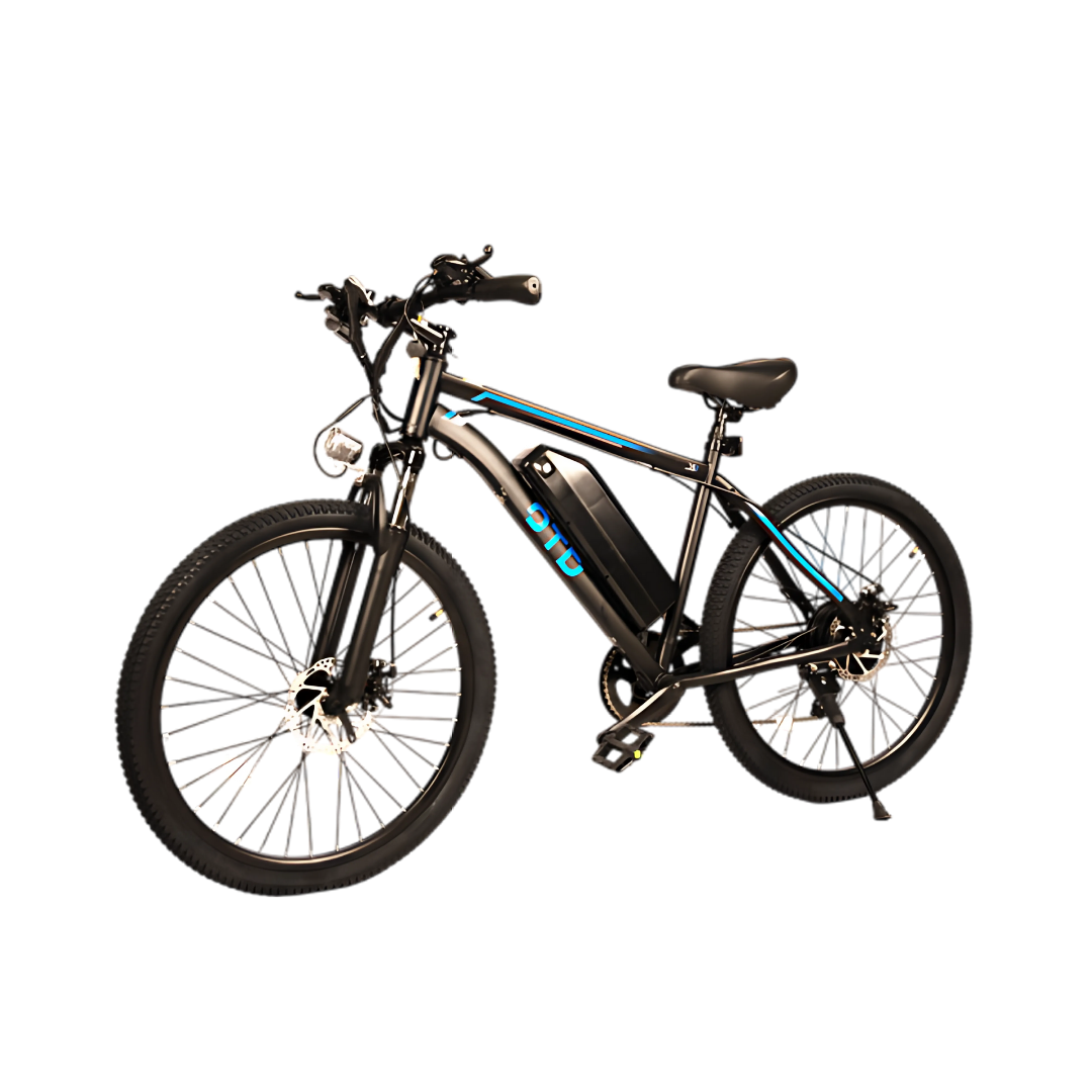 DS1 Electric Bike