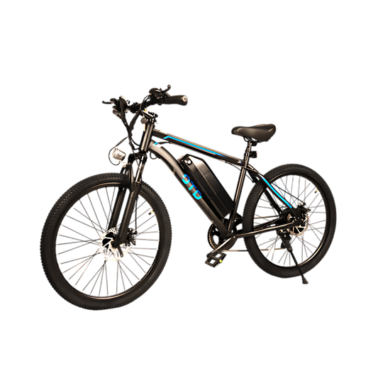 DS1 Electric Bike